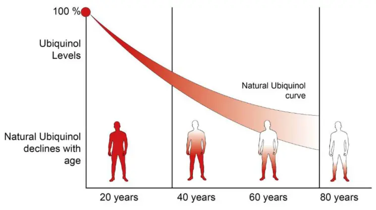 Figure: Decline in coenzyme Q10 (ubiquinol) levels over the adult lifespan