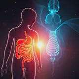 Illustration showing the connection between a healthy gut and a healthy thyroid