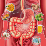 Natural strategies for managing H. pylori and promoting optimal gut health