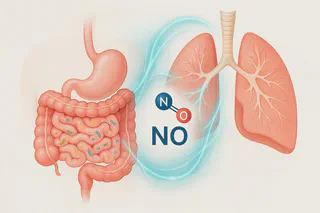 Molecular structure of nitric oxide with gut and lung imagery, symbolizing synergy and recovery