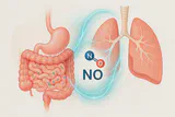 Molecular structure of nitric oxide with gut and lung imagery, symbolizing synergy and recovery