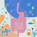 Illustration showing omega-3 fatty acids, gut bacteria, and immune cells